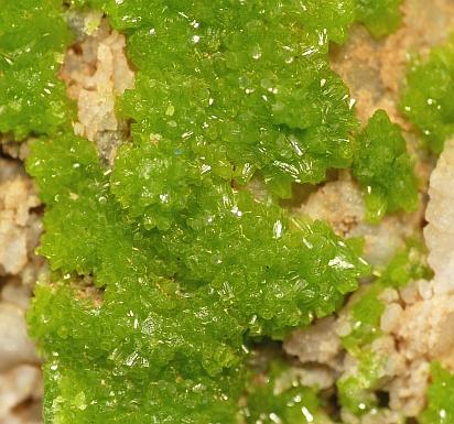 Pyromorphite