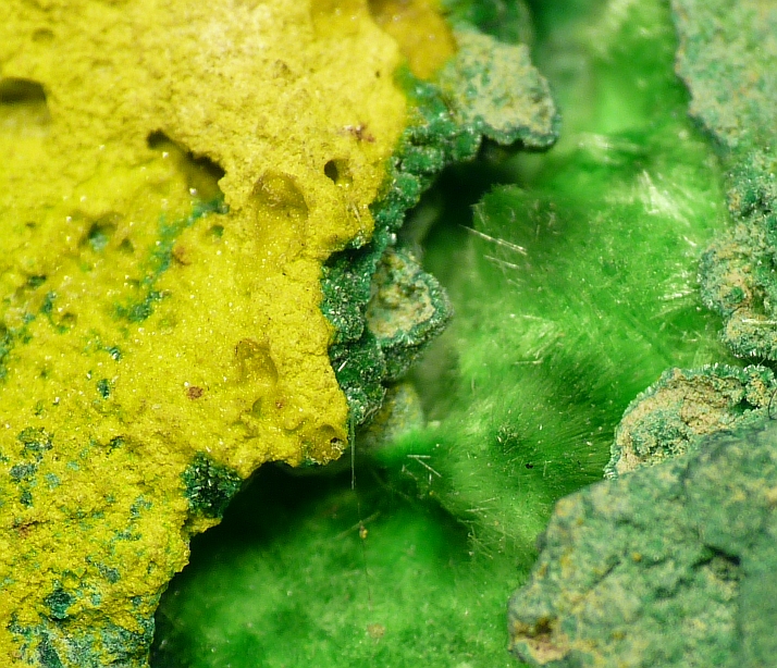 Schoepite & Cuprosklodowskite