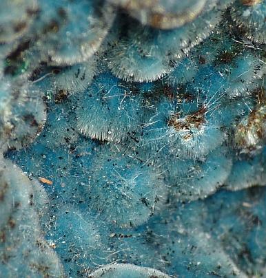 Shattuckite