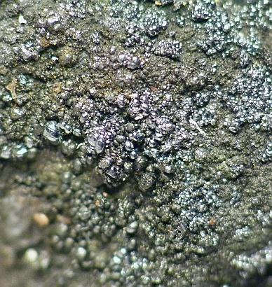 Uraninite