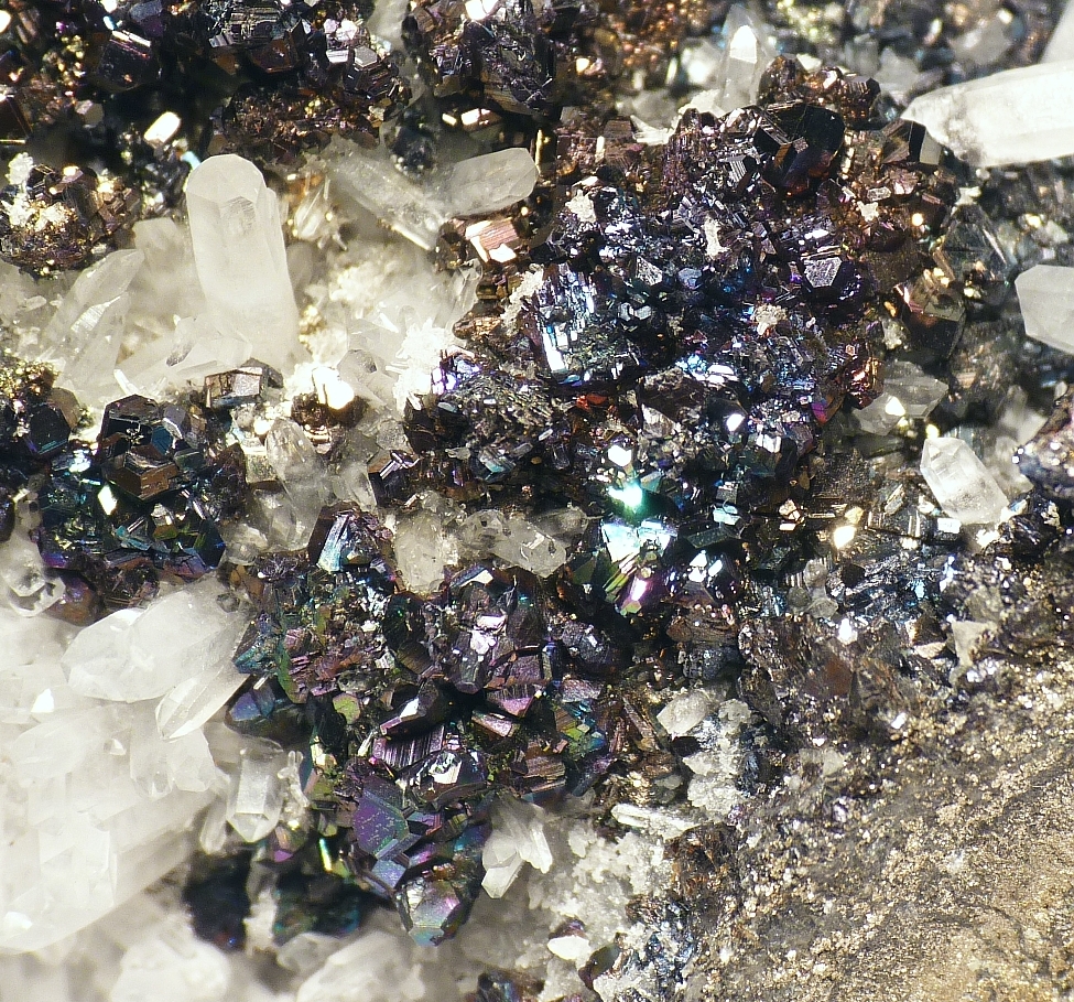 Bornite