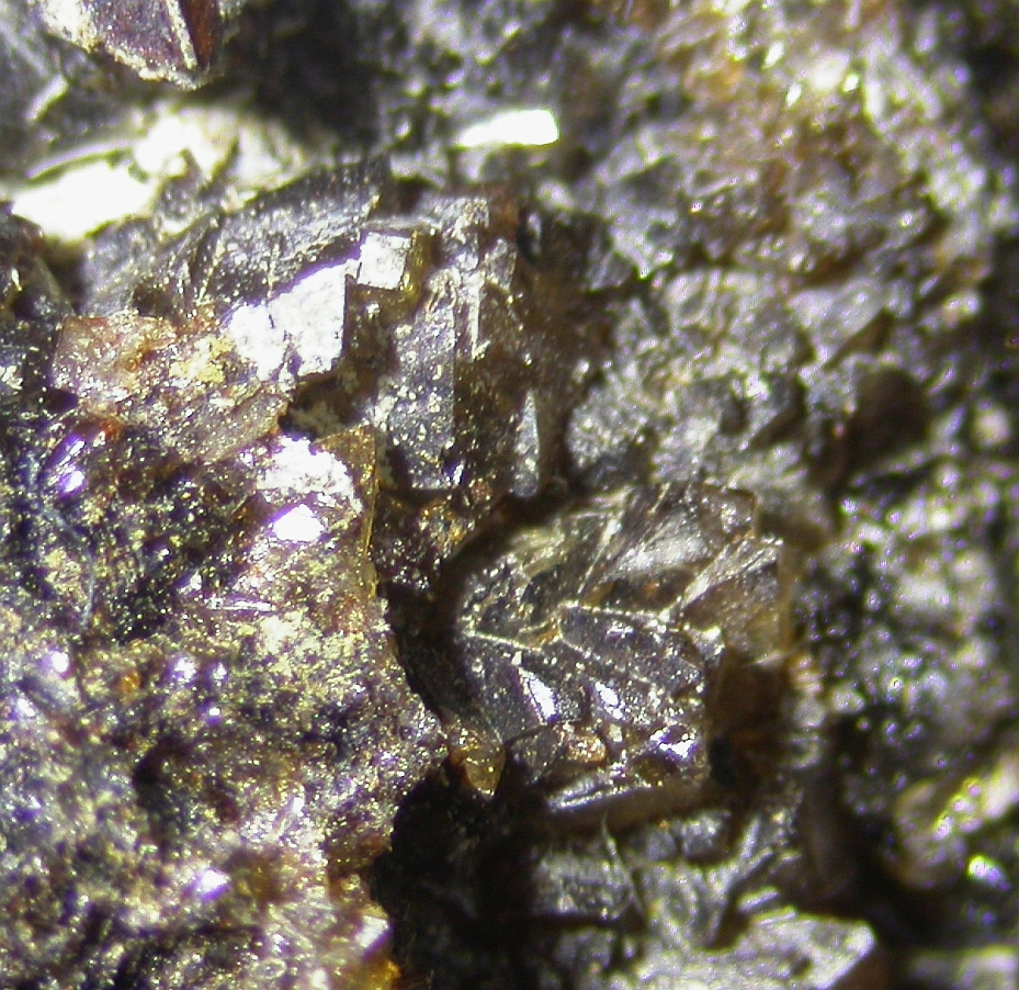 Correianevesite