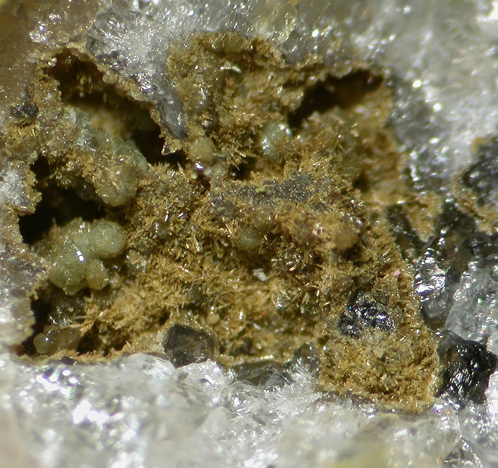 Schneebergite & Waylandite