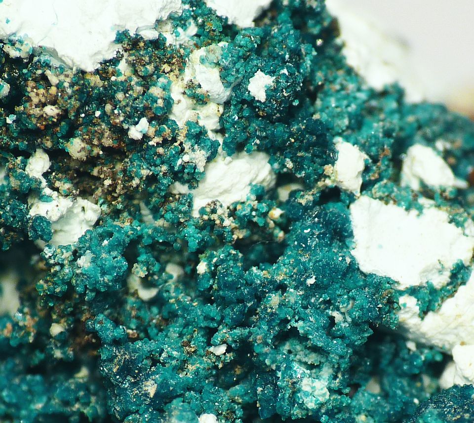 Spangolite