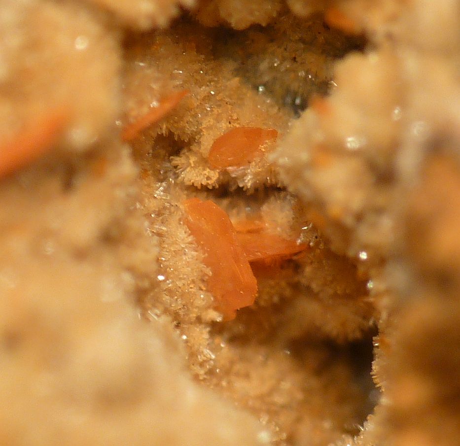 Wulfenite