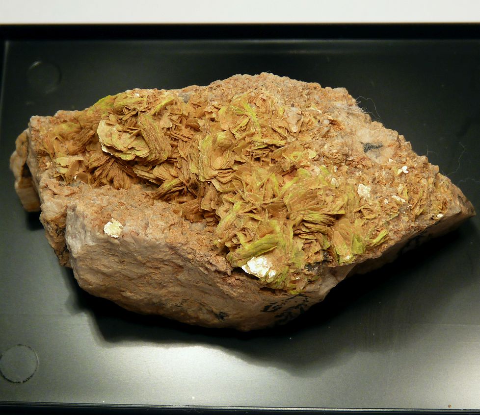 Autunite