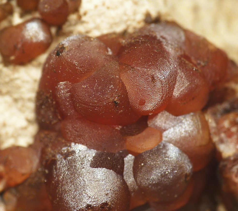 Rhodochrosite