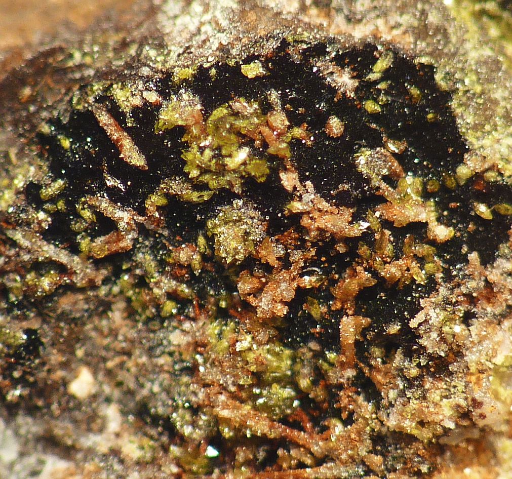 Chlorargyrite & Iodargyrite