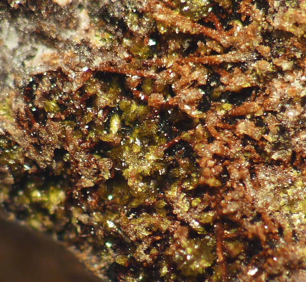 Chlorargyrite & Iodargyrite