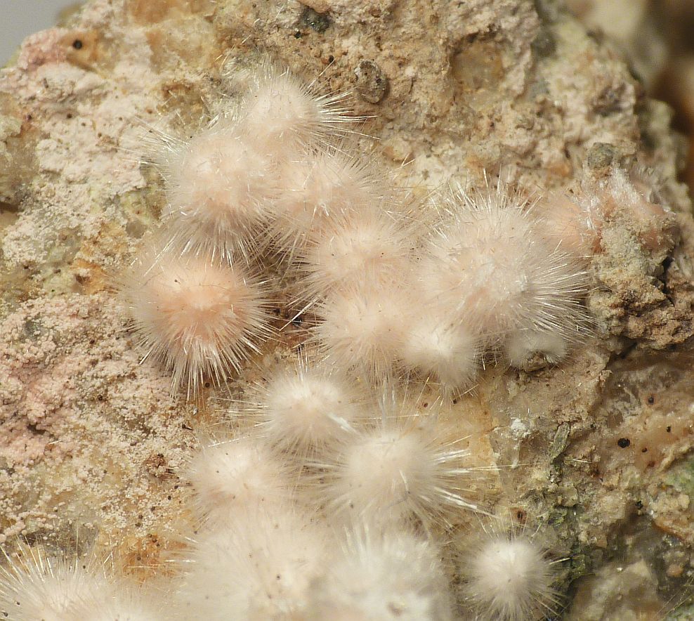 Picropharmacolite