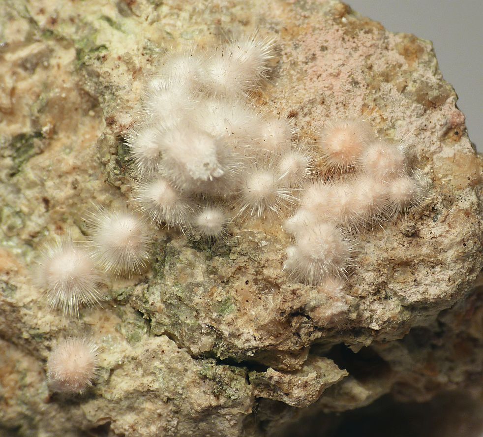 Picropharmacolite