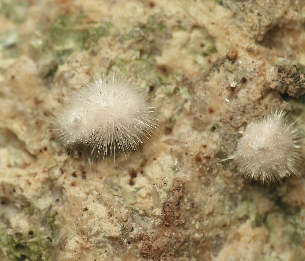 Picropharmacolite