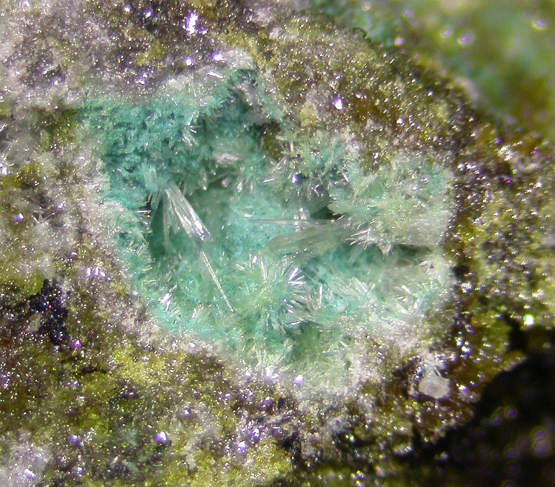 Rosiaite & Tripuhyite