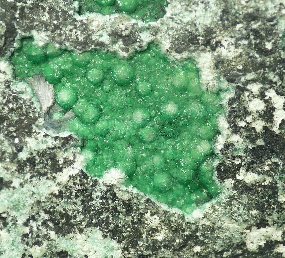Variscite