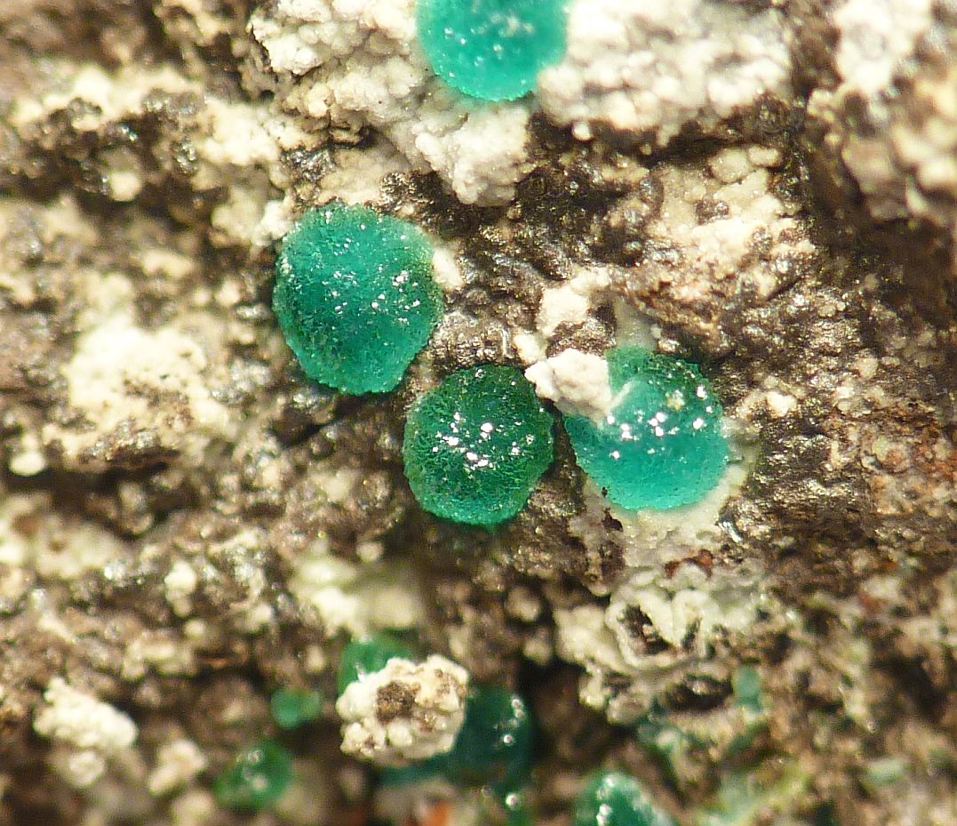 Alumino Adamite