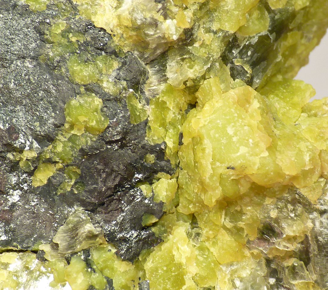 Lizardite Hematite & Hydrotalcite