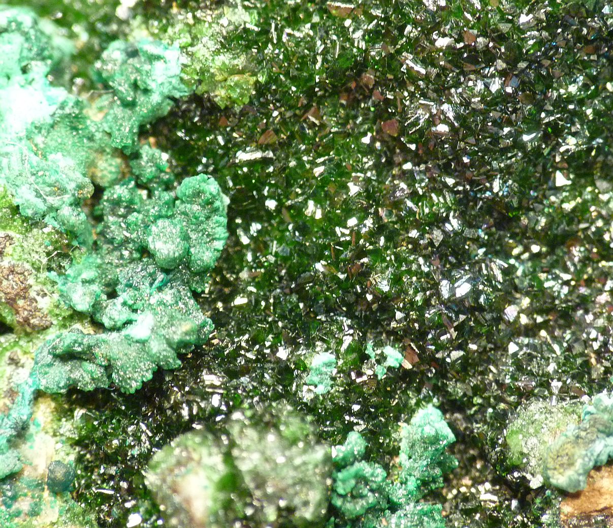 Libethenite & Pseudomalachite