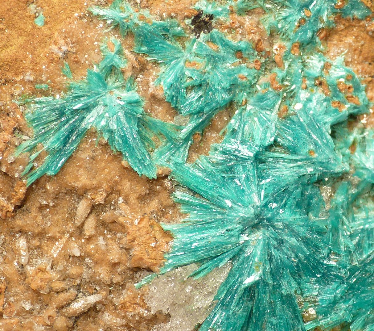 Aurichalcite