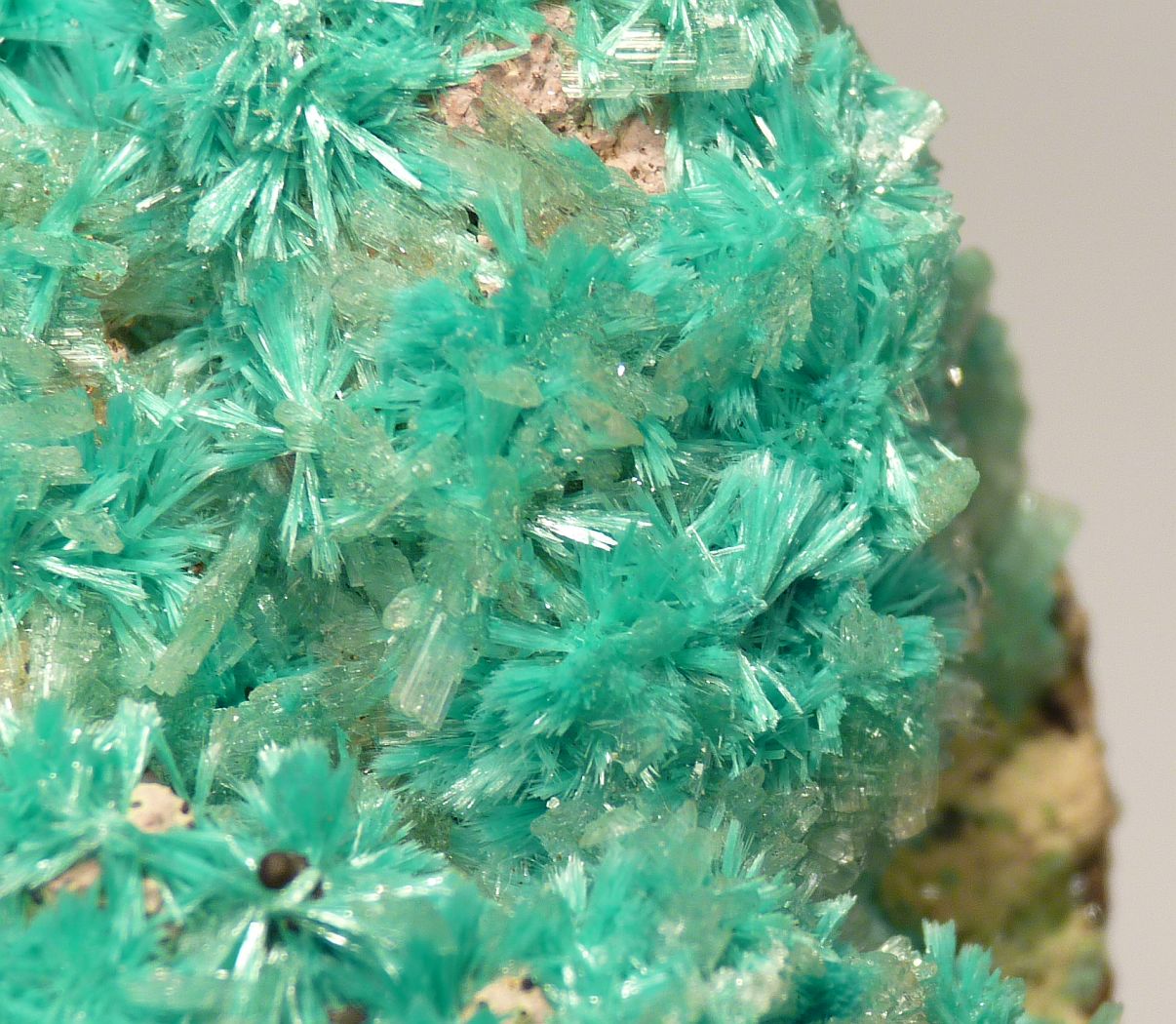 Aurichalcite