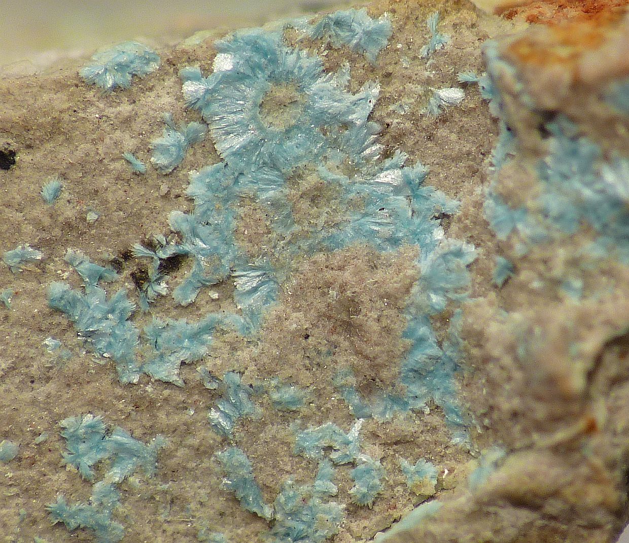 Paratooite-(La)