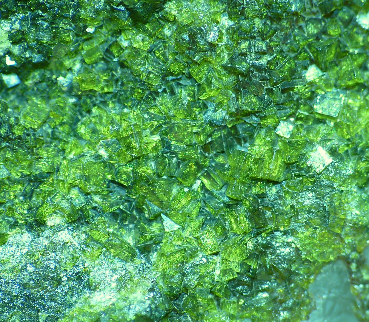 Pharmacosiderite