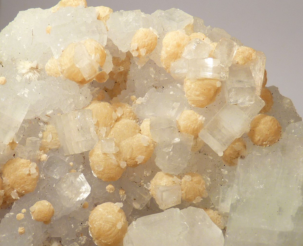 Apophyllite Gyrolite & Prehnite