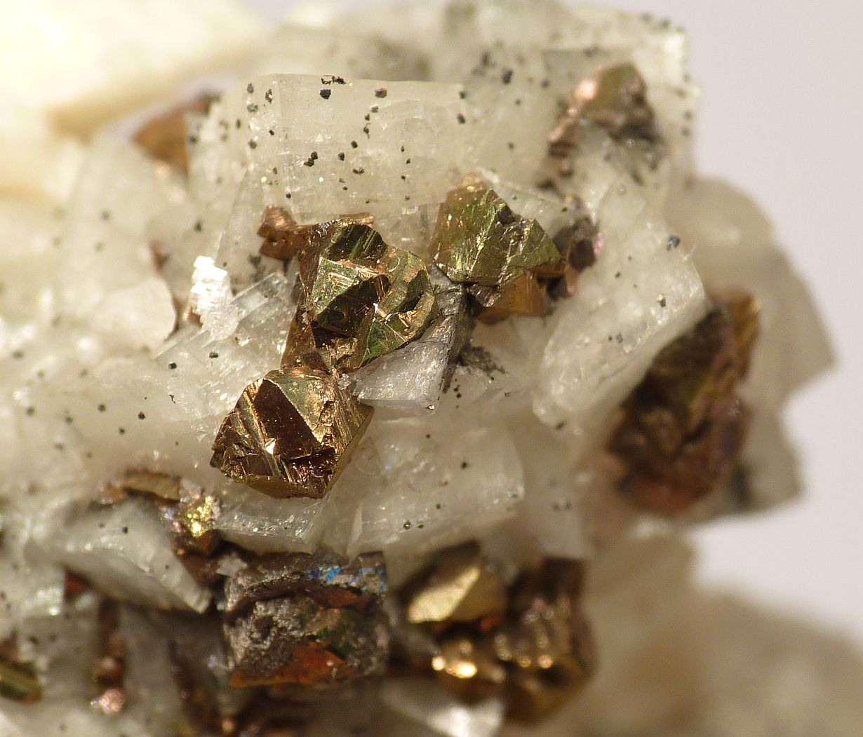 Chalcopyrite On Dolomite