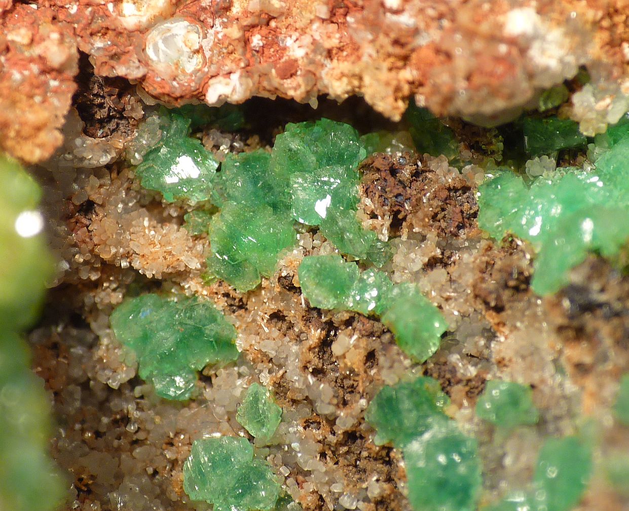 Cuprian Adamite