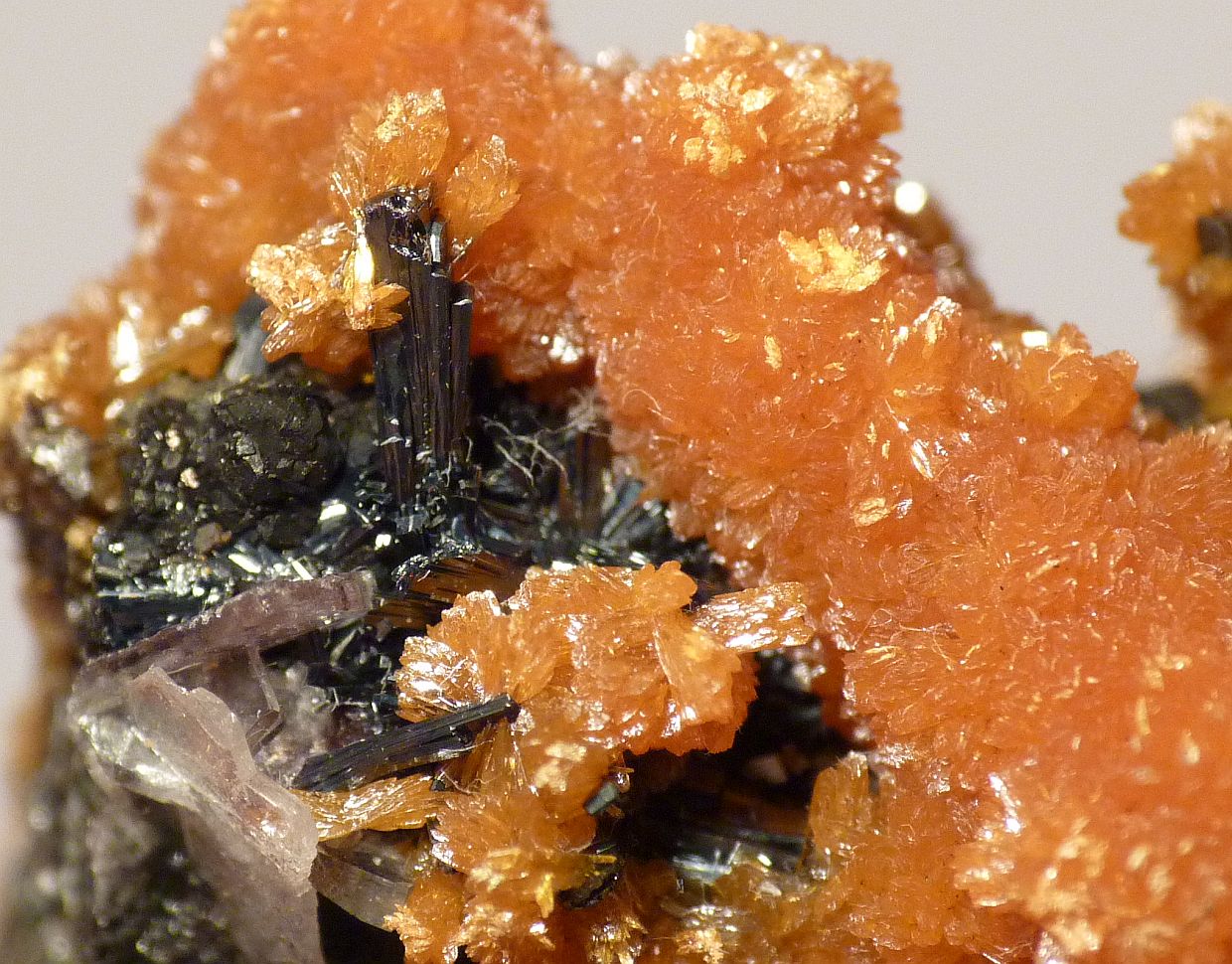 Hutchinsonite & Orpiment