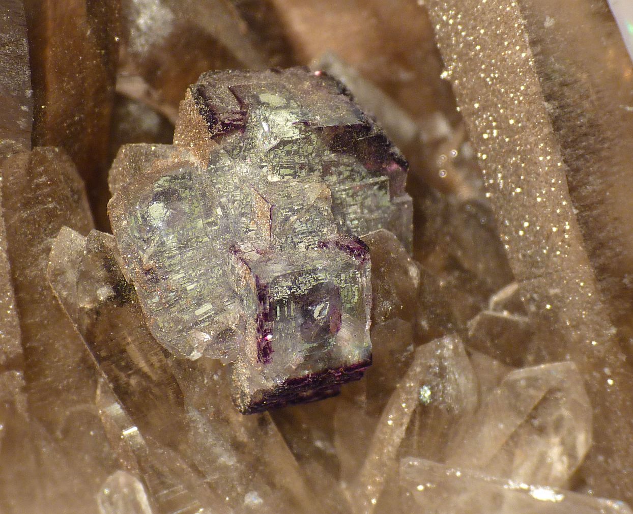 Fluorite On Smoky Quartz