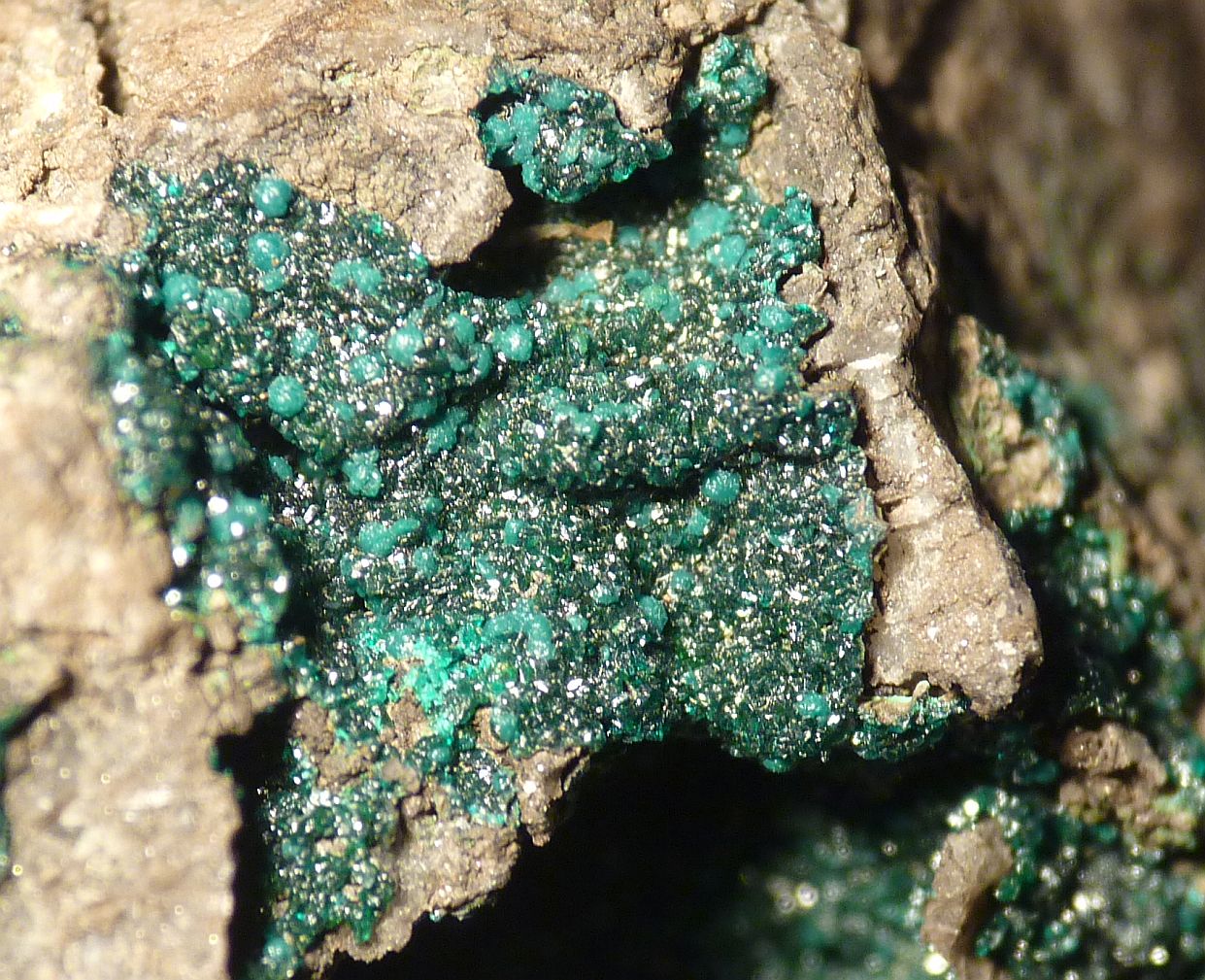 Ludjibaite Reichenbachite & Pseudomalachite