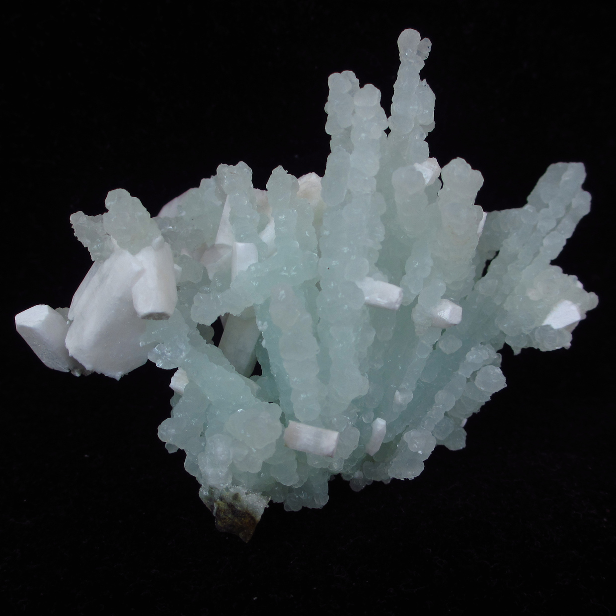 Prehnite & Apophyllite