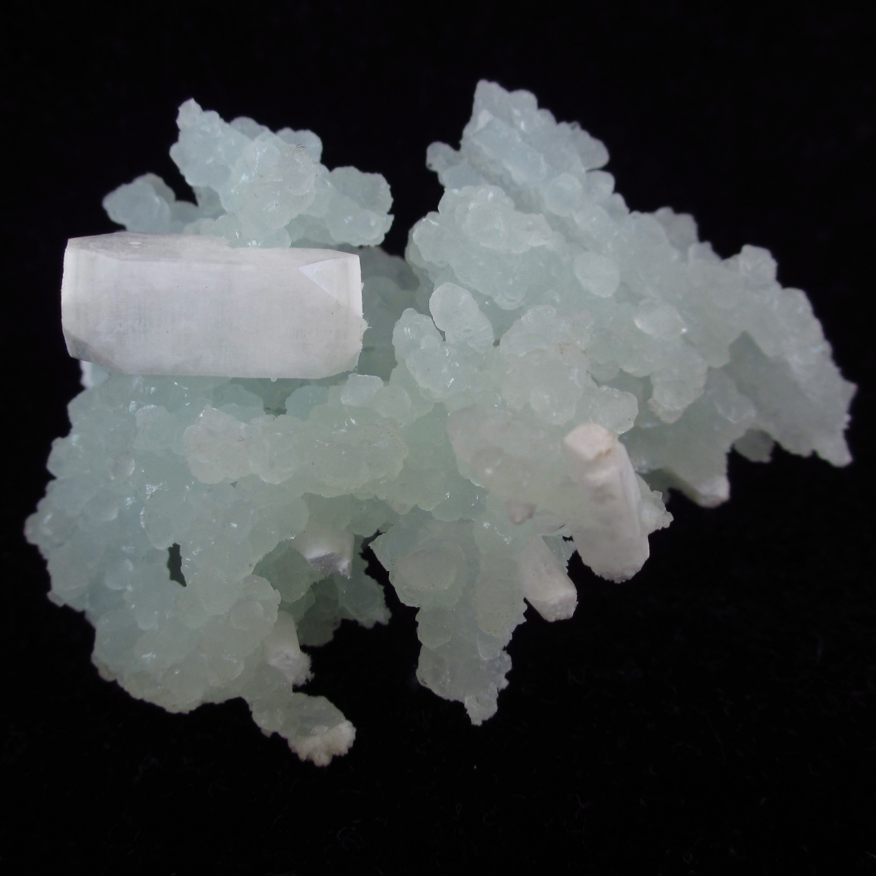 Prehnite Apophyllite