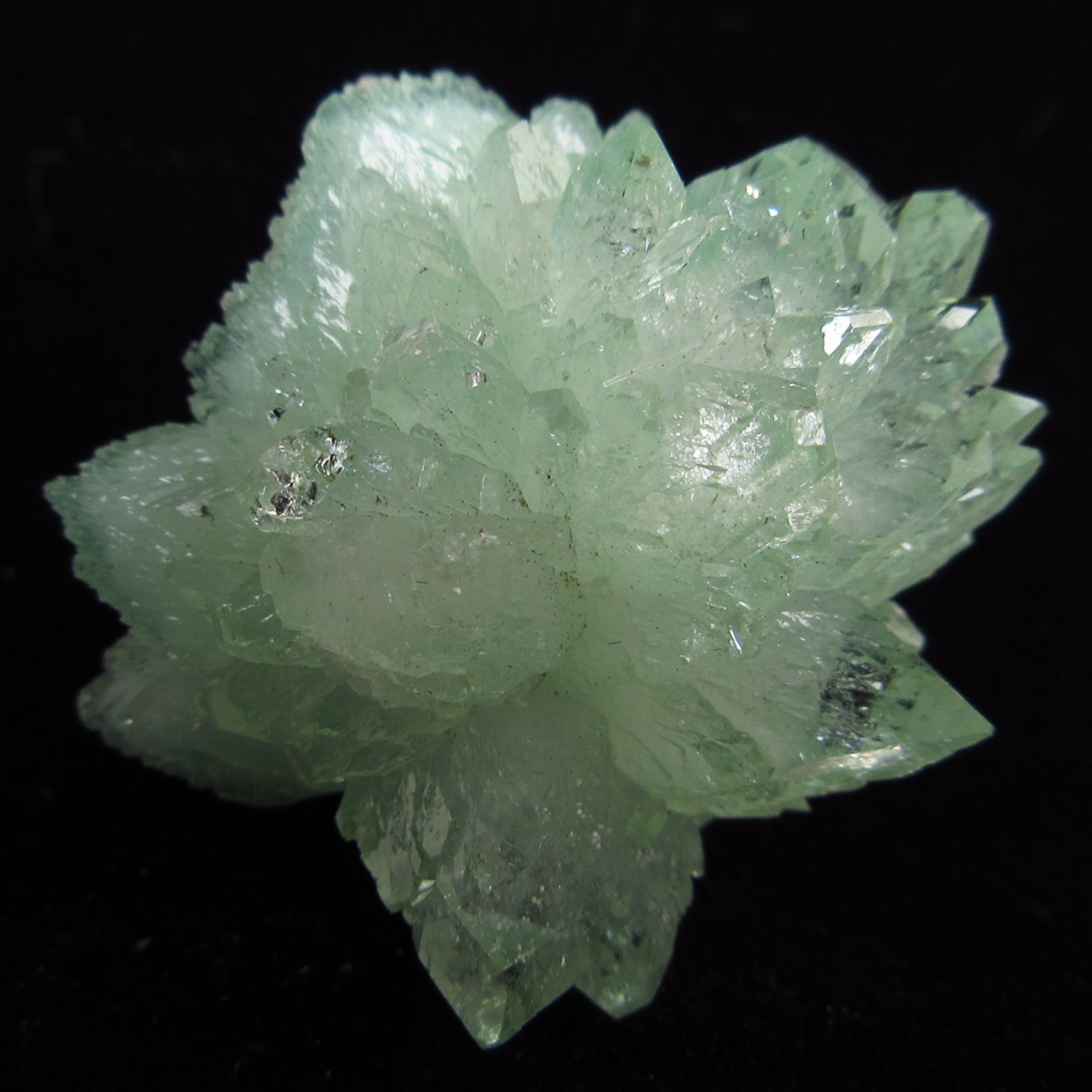 Apophyllite