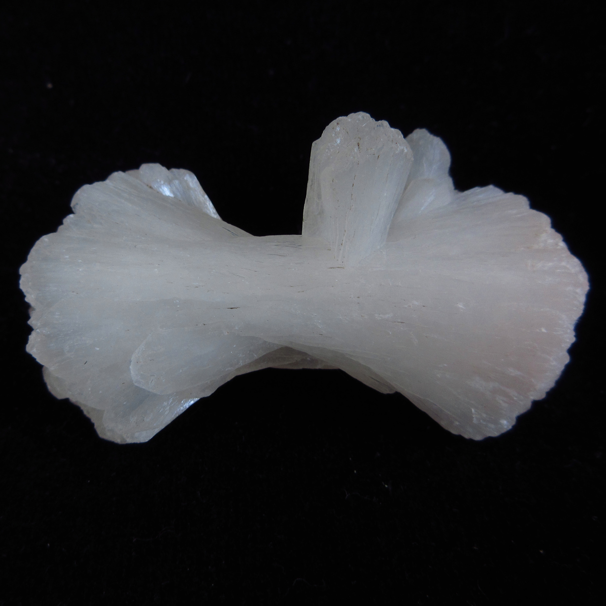 Stilbite