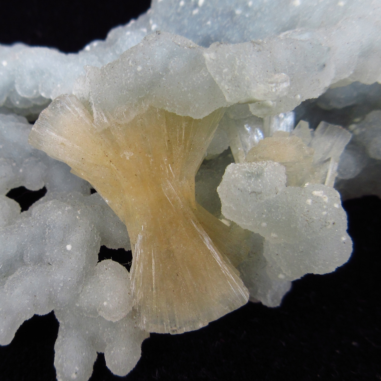 Stellerite On Chalcedony