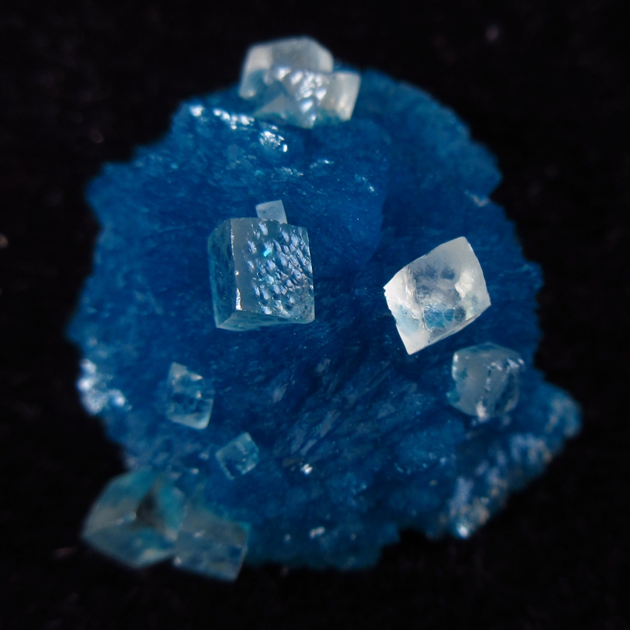 Calcite On Cavansite