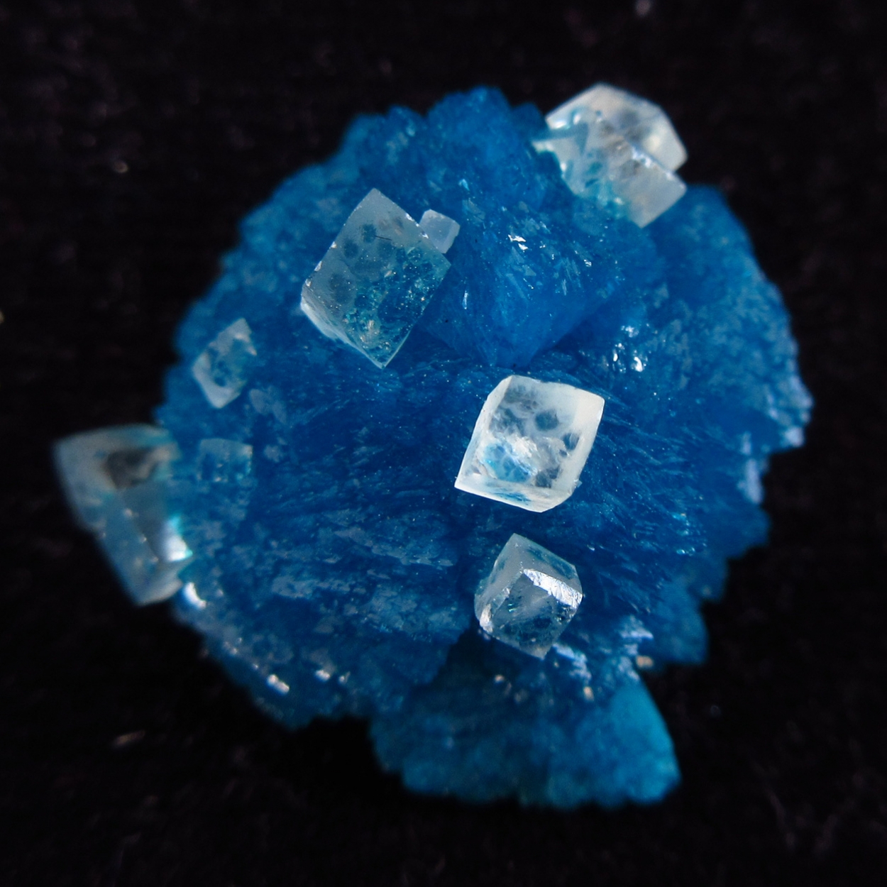 Calcite On Cavansite