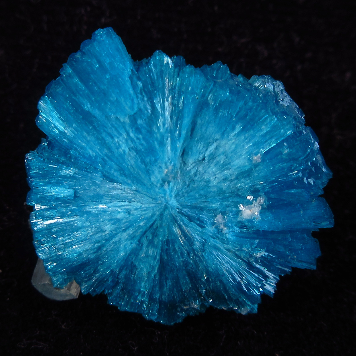 Calcite On Cavansite