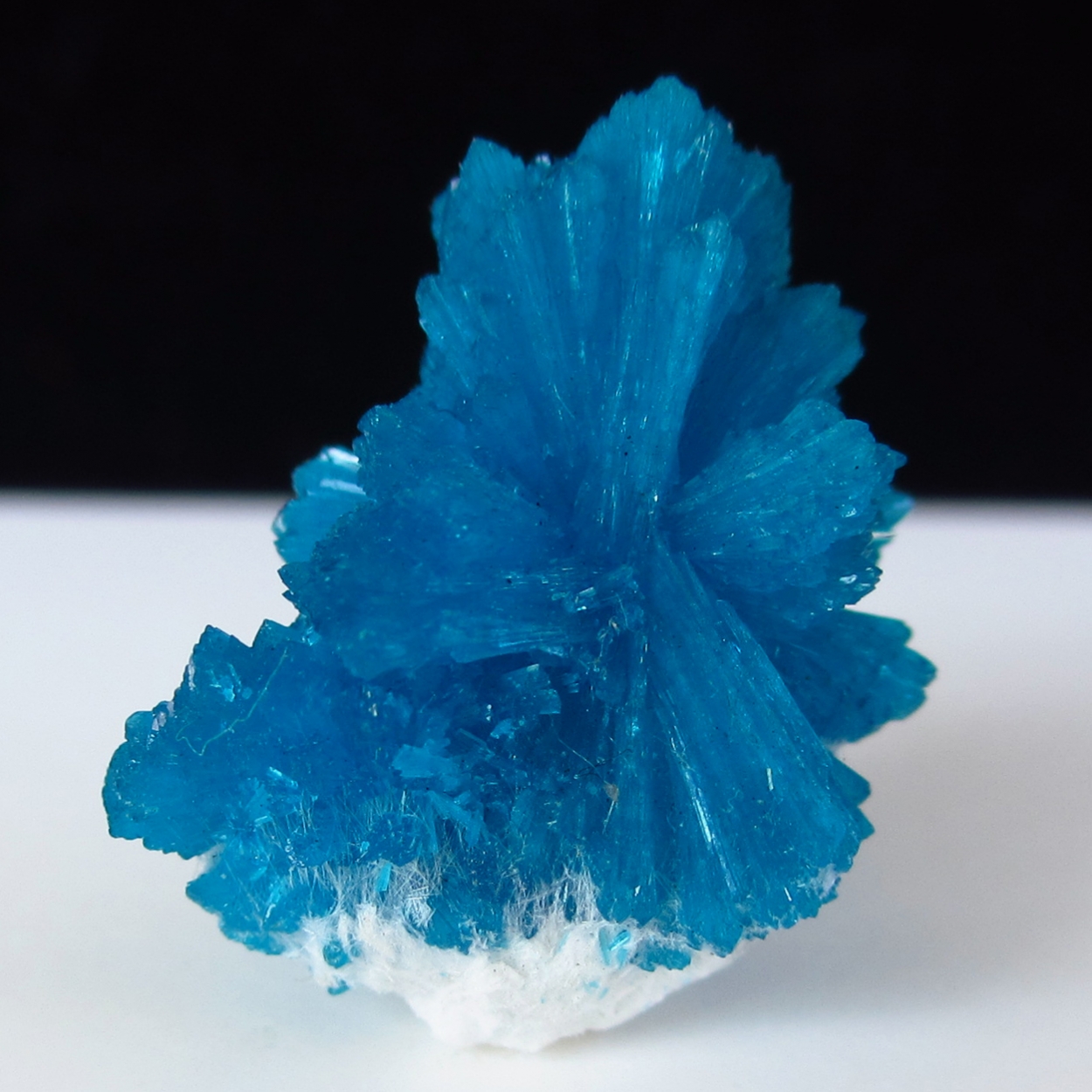 Cavansite On Mordenite