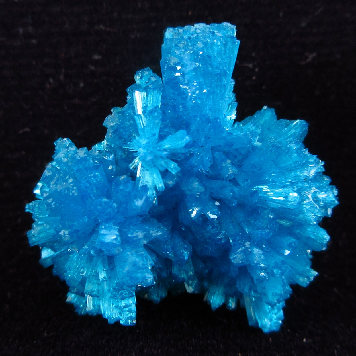 Cavansite