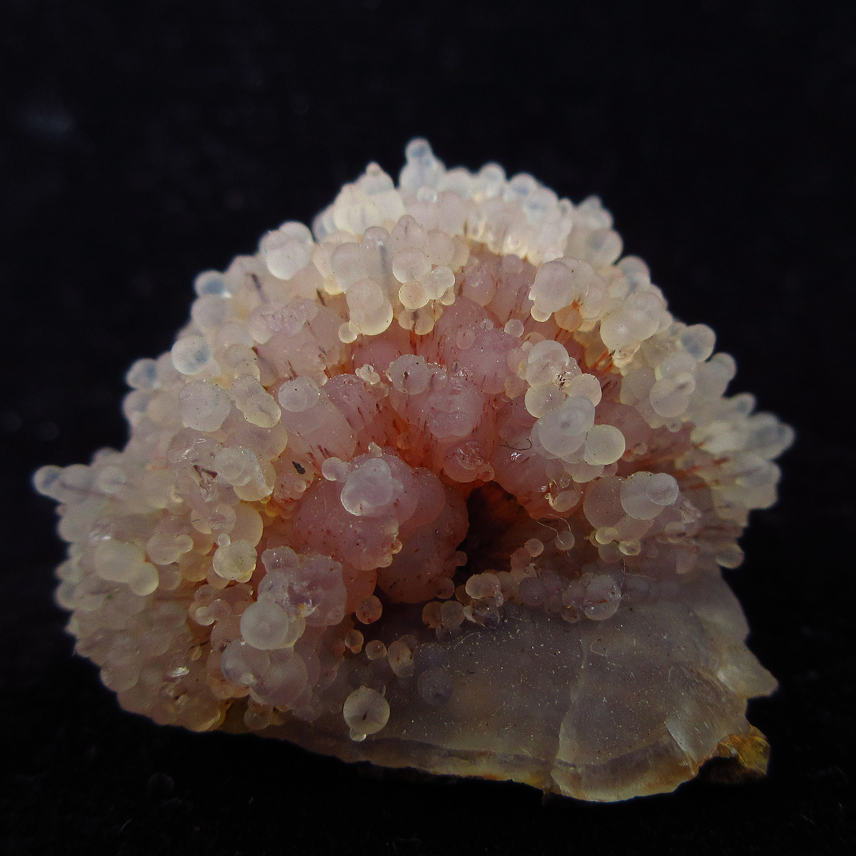 Scolecite With Chalcedony