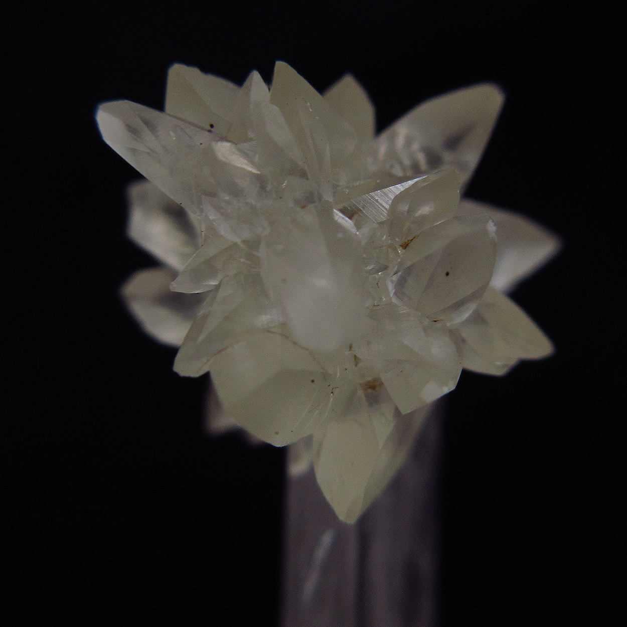 Calcite On Scolecite