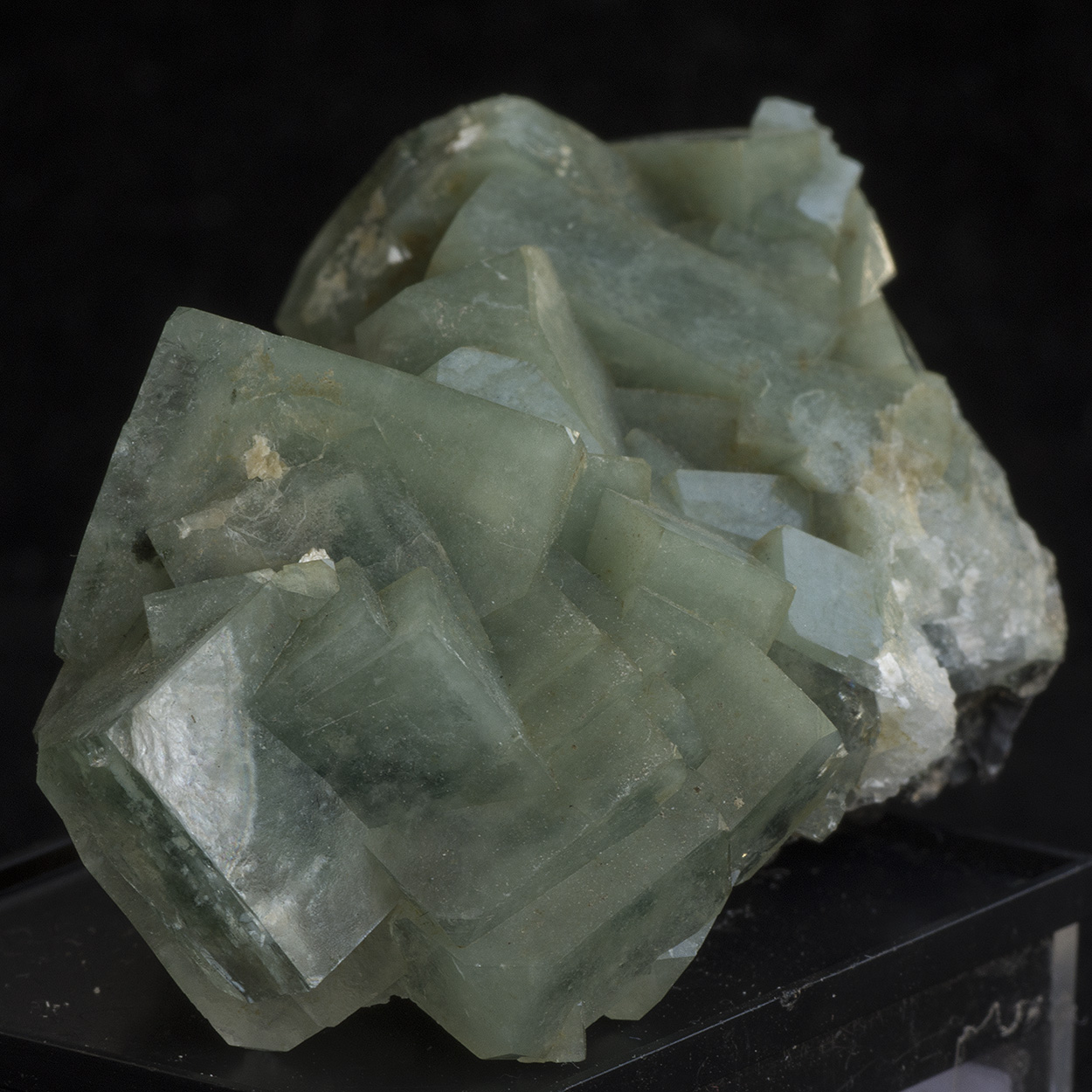 Apophyllite