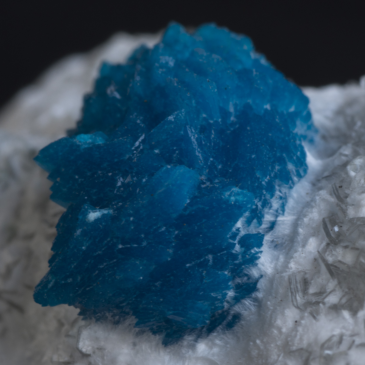 Cavansite On Mordenite