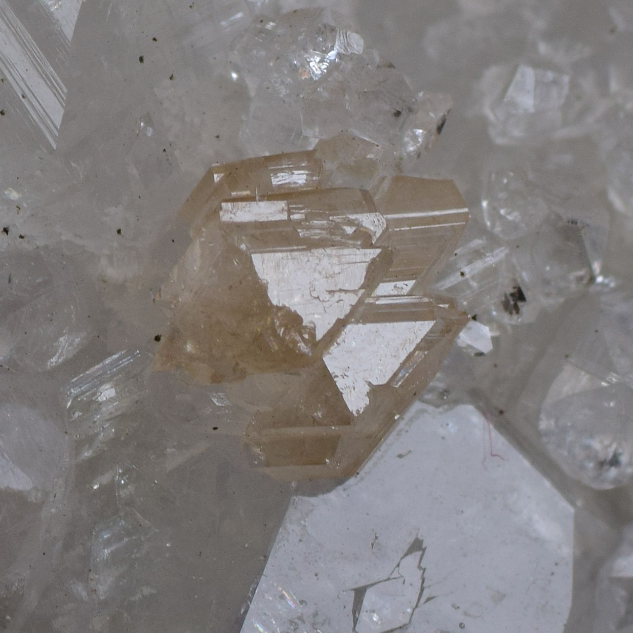 Powellite On Quartz