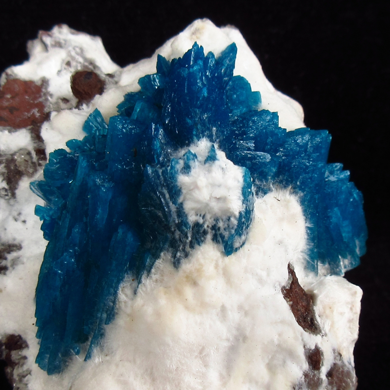 Cavansite On Mordenite