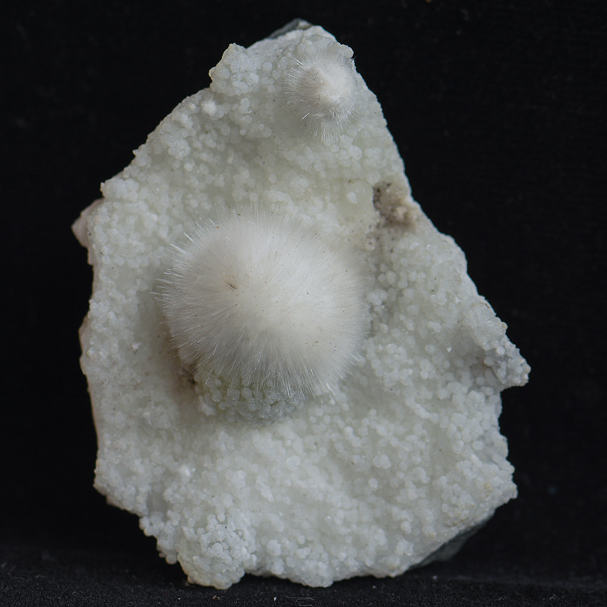 Okenite On Prehnite With Gyrolite