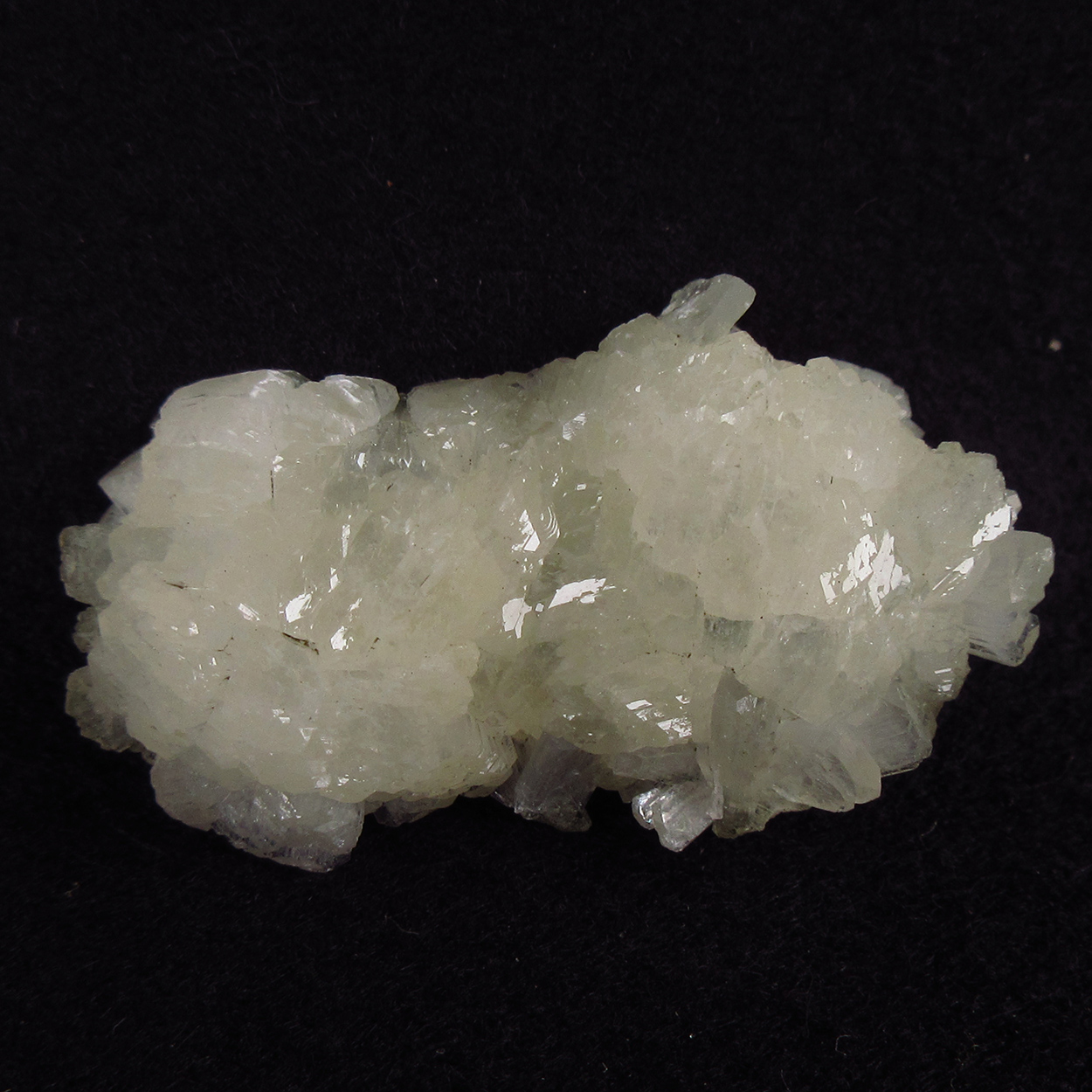 Stellerite