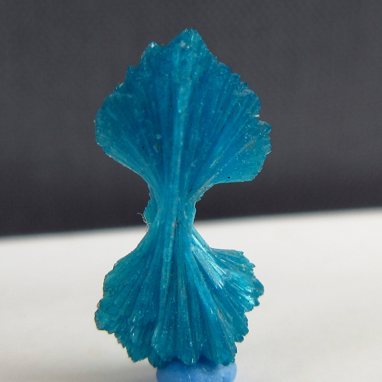 Cavansite